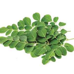 Moringa